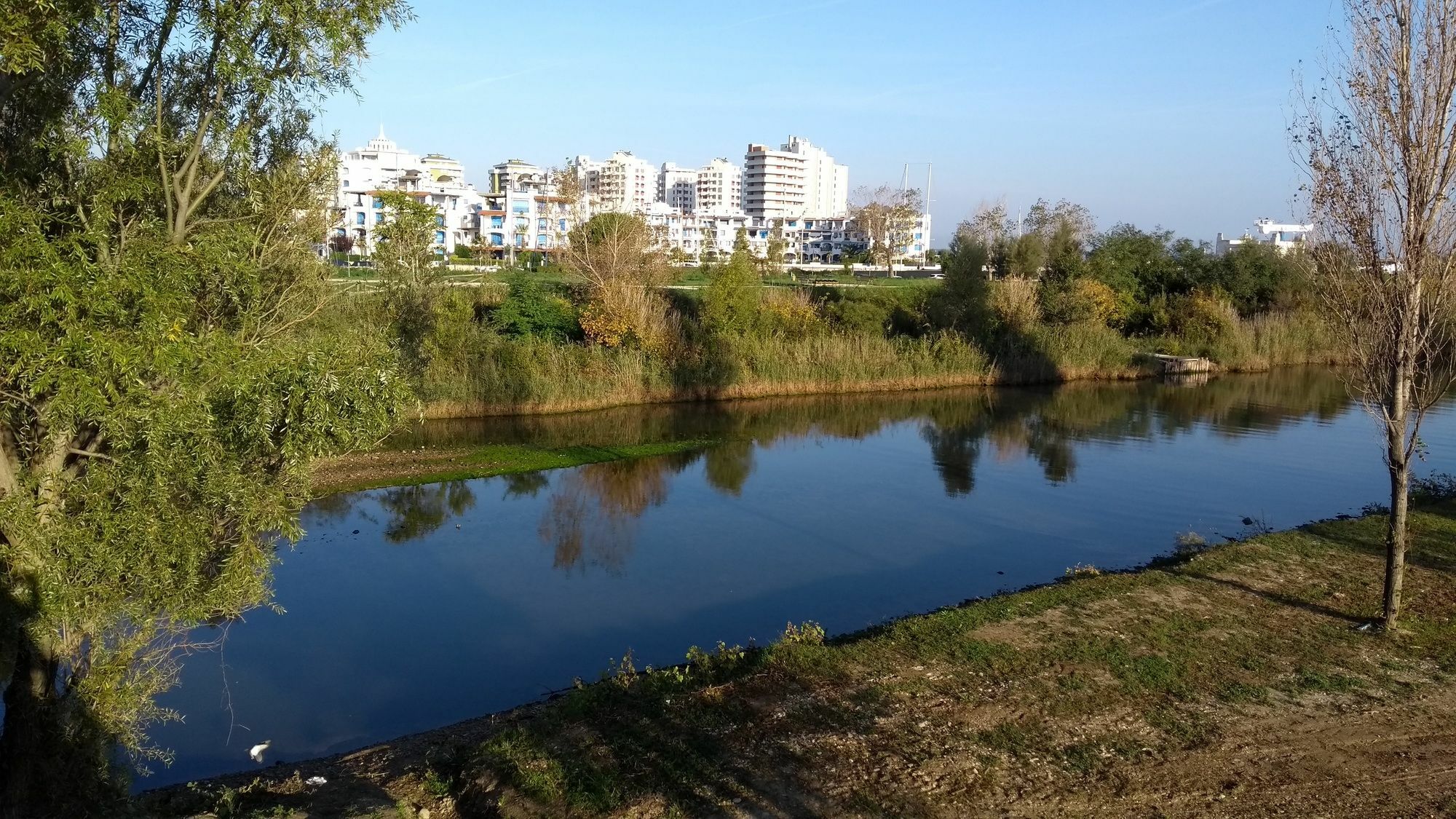 Portoverde Beach Apartments Misano Adriatico Exteriör bild